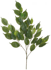 BAY LEAF SPRAY GREEN